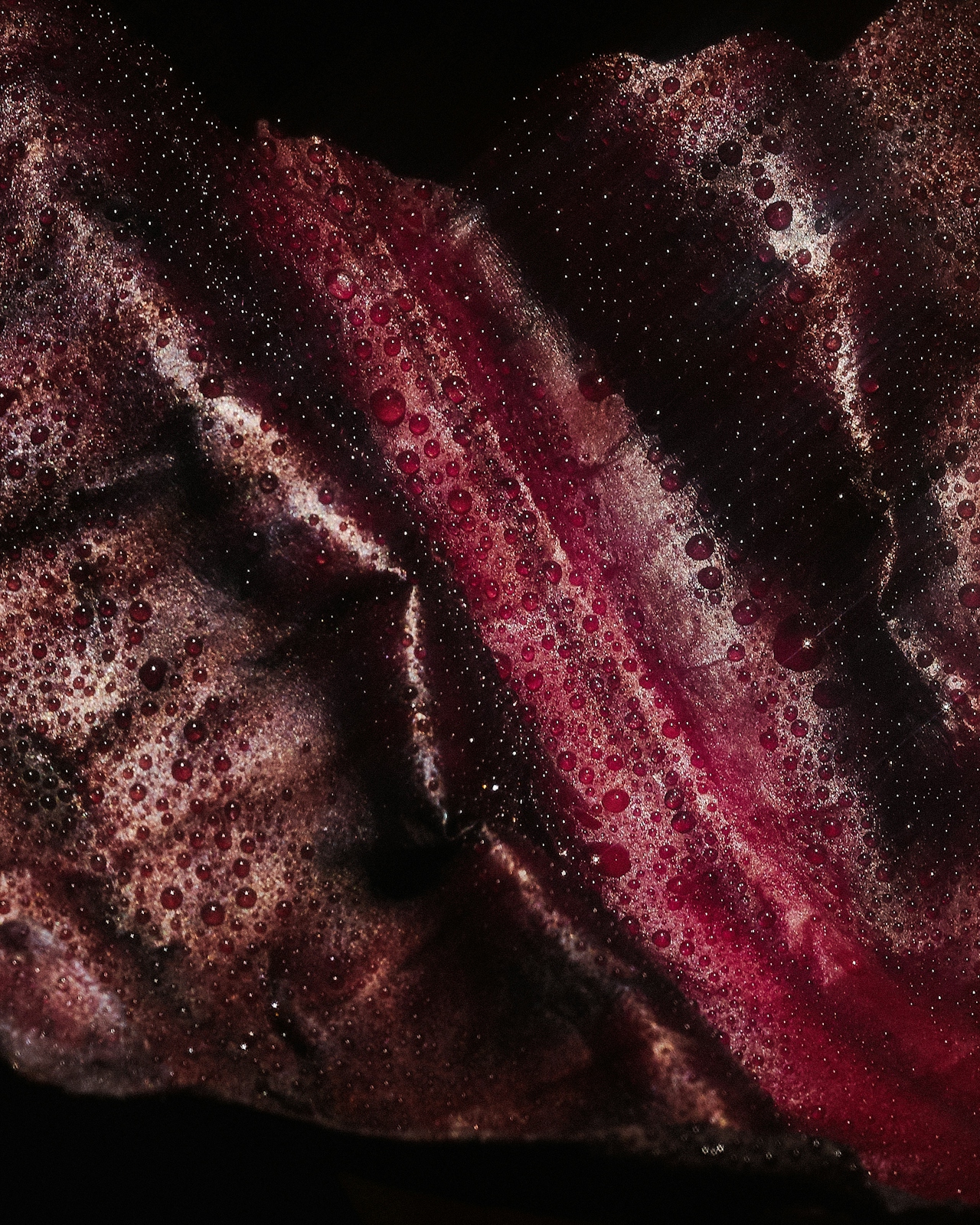 Macro droplets on deep red petals